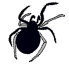 Dibujo Araña venenosa pintado por kevin