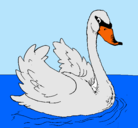 Dibujo Cisne en el agua pintado por 56op