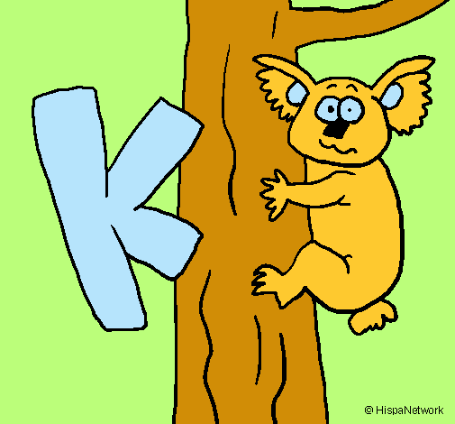 Koala