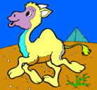 Dibujo Camello pintado por joseramon