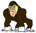 Dibujo Gorila pintado por sebastian