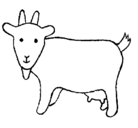 Dibujo Cabra pintado por yese