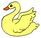 Dibujo Cisne pintado por pato