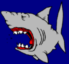 Dibujo Tiburón pintado por fabiola