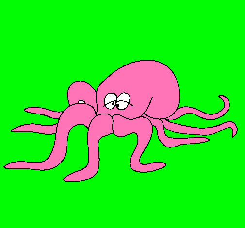 Pulpo