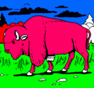 Dibujo Búfalo  pintado por amaro