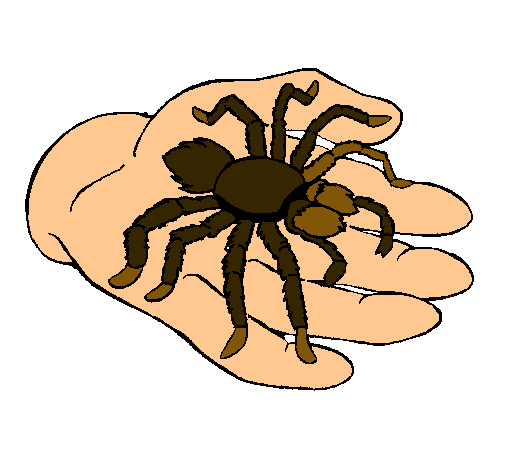 Tarántula