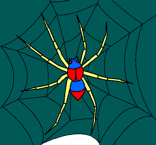 Araña