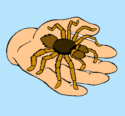 Tarántula