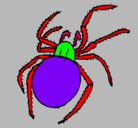 Dibujo Araña venenosa pintado por SARA