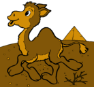 Dibujo Camello pintado por laura