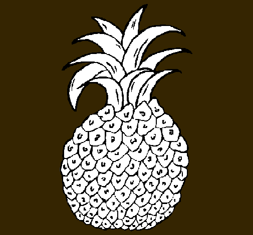 piña