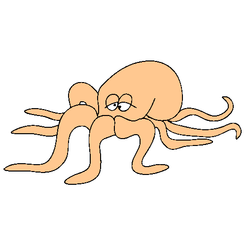 Pulpo