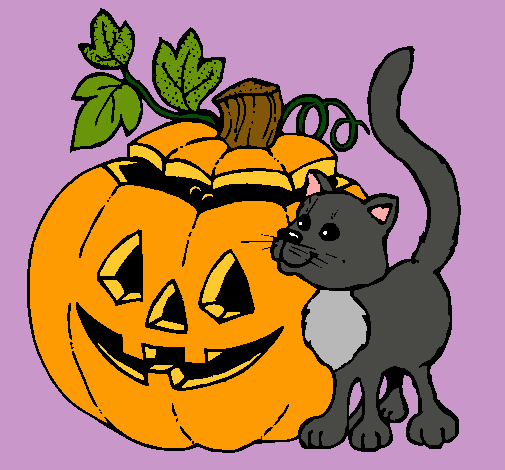 Calabaza y gato