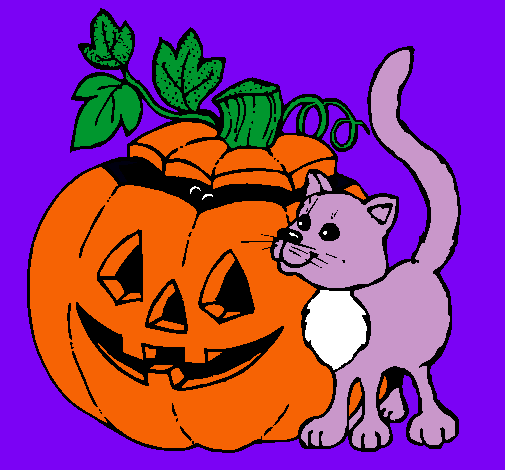 Calabaza y gato