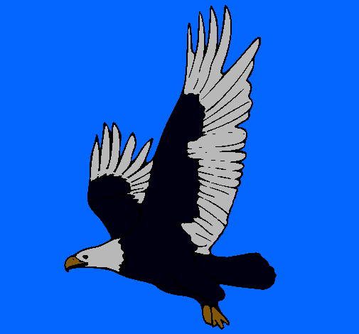 Águila volando