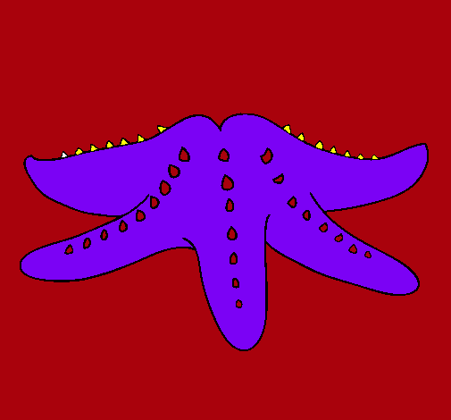 Estrella de mar