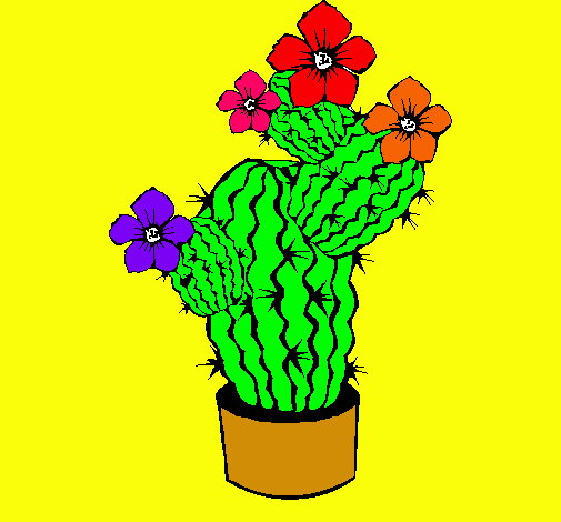 Flores de cactus