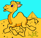 Dibujo Camello pintado por catita