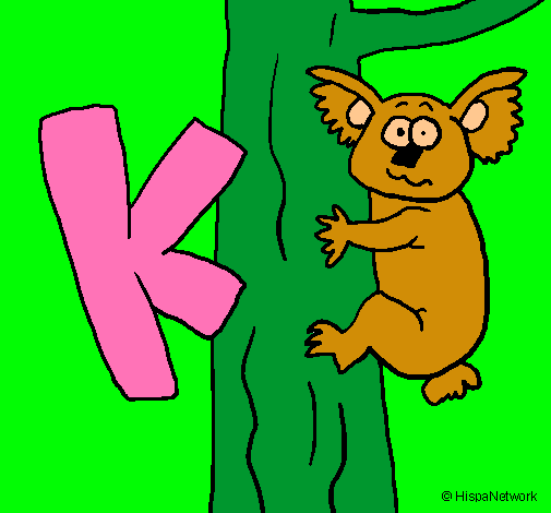 Koala