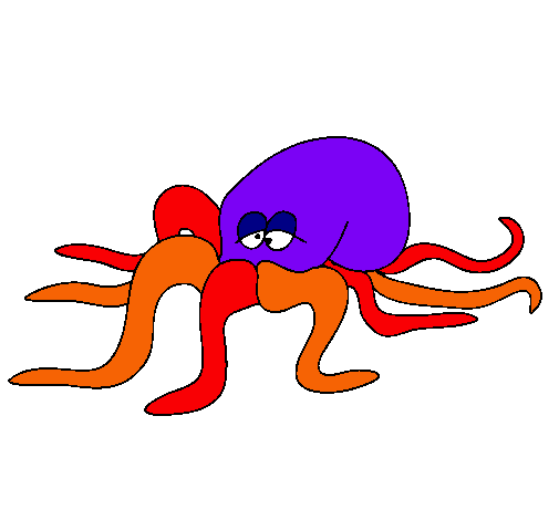 Pulpo