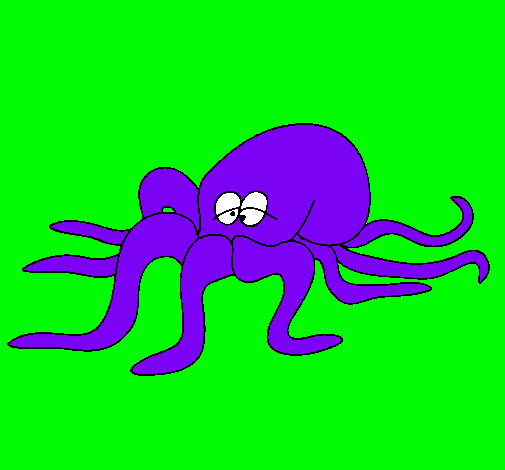 Pulpo