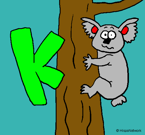 Koala