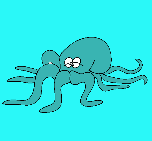 Pulpo