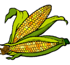 Dibujo Mazorca de maíz pintado por ivan