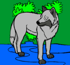 Dibujo Lobo pintado por gerhald