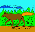 Dibujo Coyote pintado por dennis