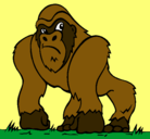 Dibujo Gorila pintado por emilker