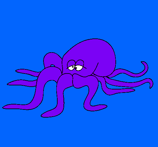 Pulpo