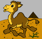 Dibujo Camello pintado por keila