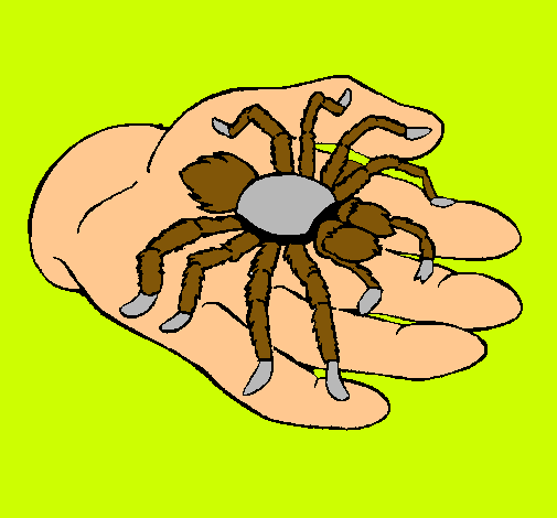 Tarántula