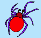Dibujo Araña venenosa pintado por zidasmariaespe