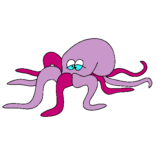 Pulpo