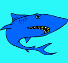 Dibujo Tiburón pintado por DIEGO