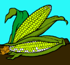 Dibujo Mazorca de maíz pintado por diego