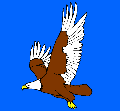 Águila volando