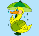 Dibujo Pato bajo la lluvia pintado por 5555