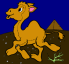 Dibujo Camello pintado por margaritaabril