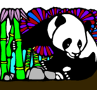 Dibujo Oso panda y bambú pintado por JUANCHITO