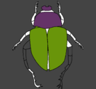 Dibujo Escarabajo pintado por FABIANCITO