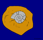 Dibujo Fósil caracol pintado por edu