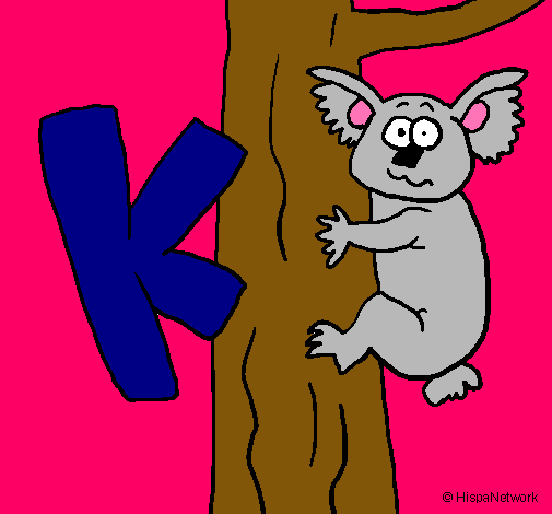 Koala