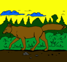 Dibujo Coyote pintado por juancarlos