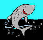 Dibujo Tiburón pintado por agustina
