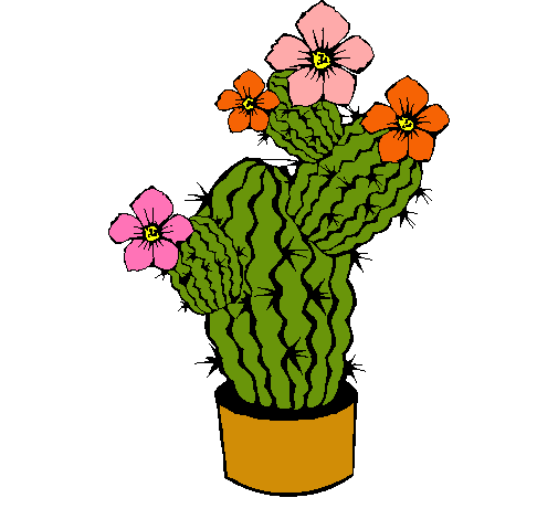 Flores de cactus