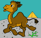 Dibujo Camello pintado por hanyer